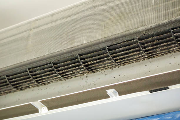 Best HVAC Air Duct Cleaning  in Tenafly, NJ